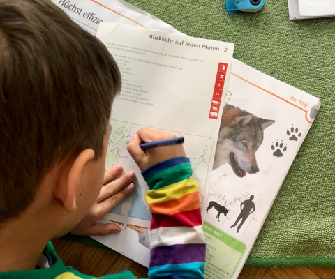 Kinder lernen über den Wolf